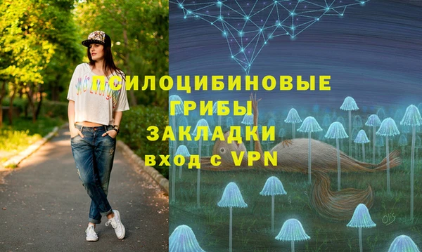 стафф Елизово