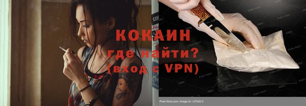 гидра Елабуга