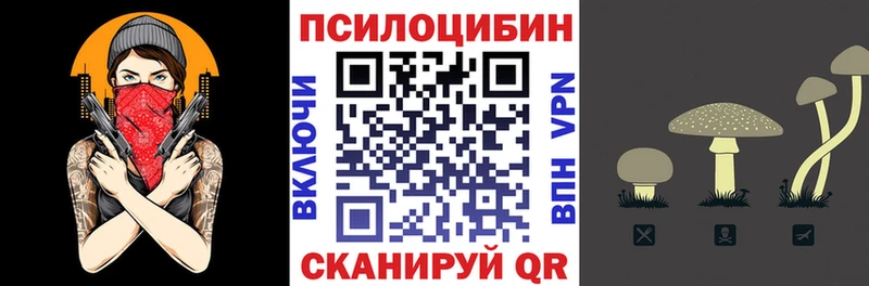 Купить где  Кадников  Галлюциногенные грибы ЛСД 